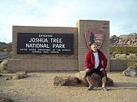 joshua tree (2) (Copier).JPG